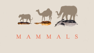 Planet Earth: Mammals