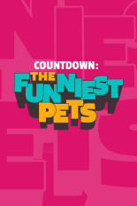 Countdown - The Funniest Pets