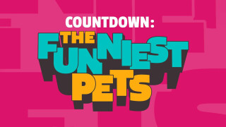 Countdown - The Funniest Pets