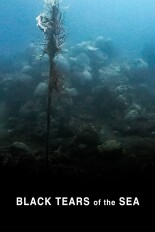 The Black Tears of the Sea - The Lethal Legacy of Wrecks