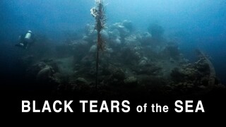 The Black Tears of the Sea - The Lethal Legacy of Wrecks