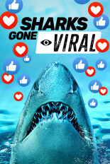 Sharks Gone Viral