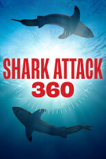Shark Attack 360