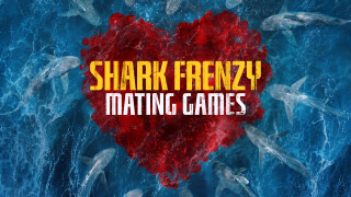 Shark Frenzy: Mating Games