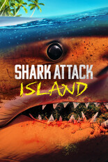 Shark Attack Island