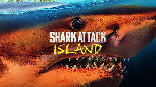 Shark Attack Island