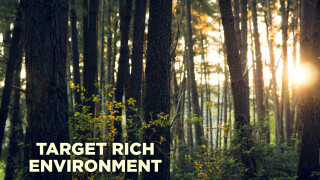 Target Rich Environment