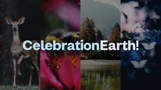 Celebration Earth!