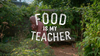 Food Is My Teacher