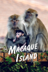 Macaque Island