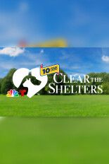 Clear the Shelters