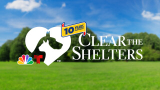 Clear the Shelters