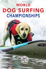 2024 World Dog Surfing Championships Best Waves