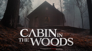 Cabin in the Woods