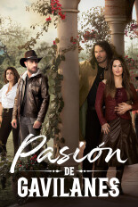 Pasión de gavilanes