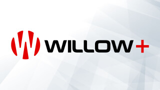 Willow+