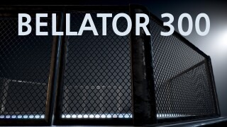Bellator 300