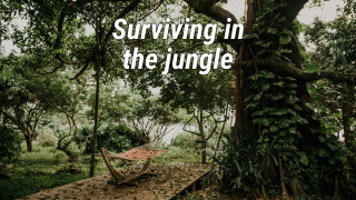 Surviving in the jungle