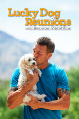 Lucky Dog: Reunions