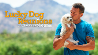 Lucky Dog: Reunions