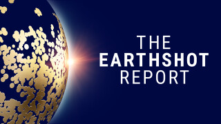 The Earthshot Report