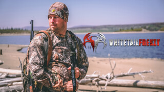 Whitetail Frenzy