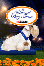 The National Dog Show