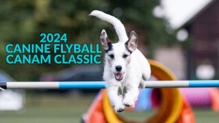 2024 Canine Flyball CanAm Classic