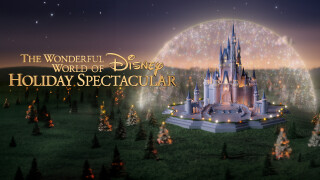 The Wonderful World of Disney: Holiday Spectacular