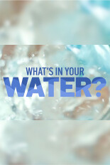 What's in Your Water?