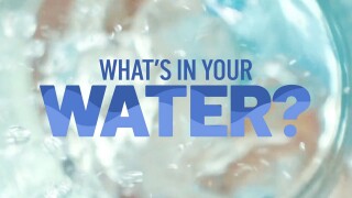 What's in Your Water?