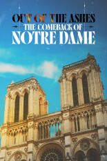 Out of the Ashes: The Comeback of Notre Dame