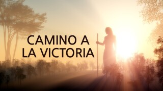 Camino a la victoria