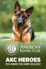 AKC Heroes: 2024 Awards for Canine Excellence