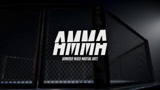 Armored MMA