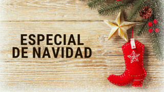 Especial de Navidad