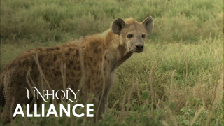 Unholy Alliance: Leopard & Hyena