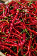 La ruta del chile