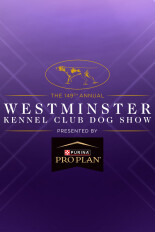 149th Westminster Kennel Club Dog Show