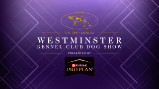 149th Westminster Kennel Club Dog Show