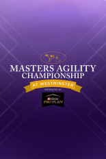 The Masters Agility Championship at Westminster