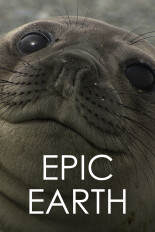 Epic Earth