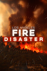 Los Angeles Fire Disaster