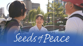 Seeds of Peace