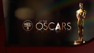 On the Red Carpet at the Oscars