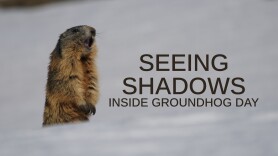 Seeing Shadows: Inside Groundhog Day