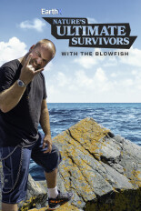 Nature's Ultimate Survivors With the Blowfish