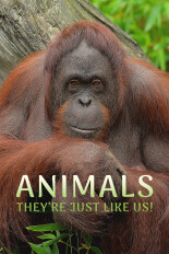 Animals, They're Just Like Us!
