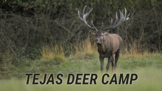 Tejas Deer Camp