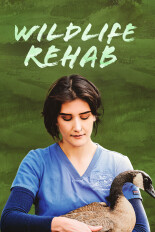 Wildlife Rehab